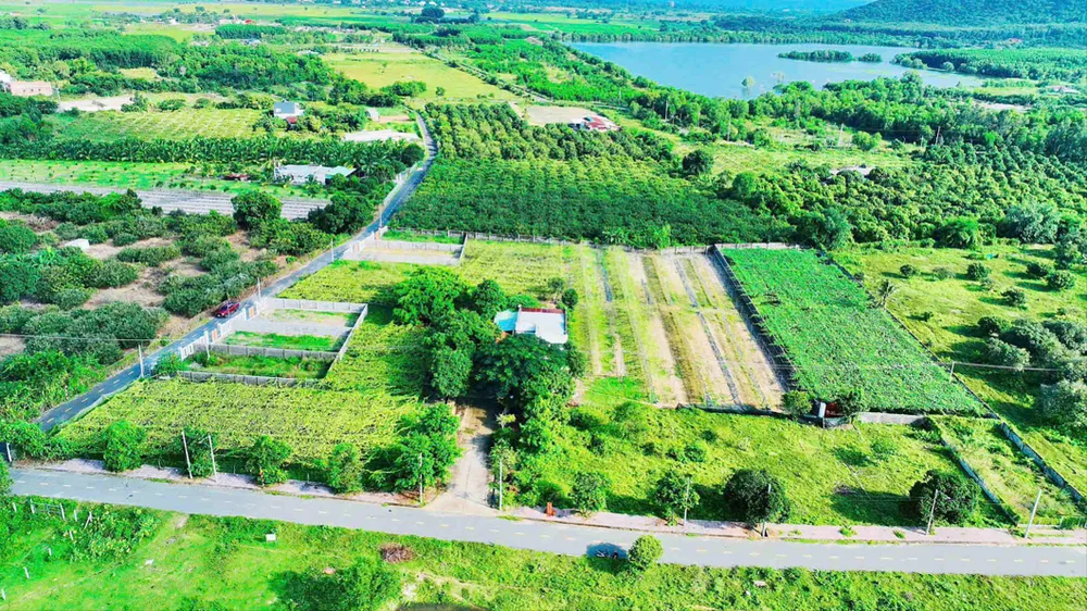 Các khu đất nông nghiệp thuộc địa bàn xã Phước Hải, TPHCM. Ảnh: QUANG VŨ