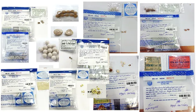 Trong 14 mẫu thuốc gia truyền được cơ quan công an gửi kiểm nghiệm, có 13 mẫu pha trộn tân dược. Nguồn: Viện Kiểm nghiệm thuốc TPHCM anh-man-hinh-2025-05-26-luc-081819-3131-8319.png
