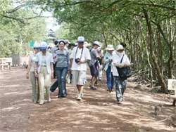 Nam bộ ấm trở lại