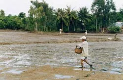 Chủ động phòng chống thiên tai