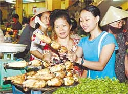 Kết nạp 114 đoàn viên ưu tú người Hoa vào Đảng CSVN