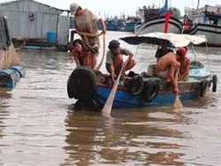 Nguy cơ hủy hoại môi trường vì nuôi tôm cá ảnh 2 Nguy cơ hủy hoại môi trường vì nuôi tôm cá ảnh 2
