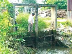 Cả khu phố ngập trong nước