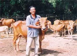 Chuyển mạnh trồng trọt sang chăn nuôi
