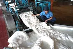 Nhà máy Chế biến cao su Long Thành xây dựng hệ thống xử lý nước thải