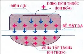 Công nghệ mới trị nám, thâm, nhăn, nhờn da… ảnh 2 Công nghệ mới trị nám, thâm, nhăn, nhờn da… ảnh 2