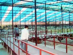 Phát hiện giữa Hoàng Thành một con thuyền cổ