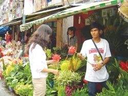 Đa dạng hoa xuân