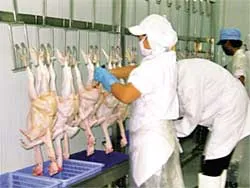 Cần những dây chuyền giết mổ hiện đại