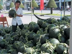 Hàng Tết phong phú, sức mua tăng nhanh ảnh 2 Hàng Tết phong phú, sức mua tăng nhanh ảnh 2