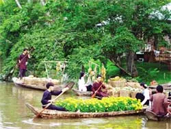 Du xuân trên đường tour