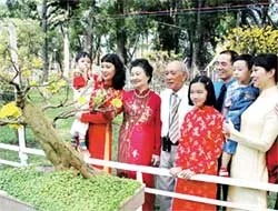 “Sân chơi” hấp dẫn của nghệ nhân cả nước