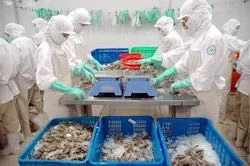 Nhớ lại bài học kinh nghiệm vụ kiện cá tra, cá ba sa