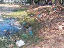 Ao Bà Om bị ô nhiễm nặng