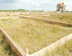 Những tín hiệu khởi động
