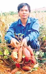 Tỷ phú “khoai lang”