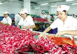 Thị trường thức ăn nhanh có thêm “Fast Food Vissan”?