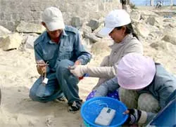 Về Ninh Hải đi săn tôm hùm giống