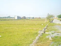 Đất nông nghiệp thành… bãi hoang