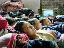Trao giải Cánh diều vàng 2005