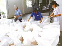 Sẽ nhập thêm 150.000 tấn đường