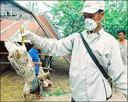 Vấn đề nghiêm trọng