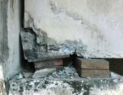 Quan trắc cầu hay “quan trắc” người?