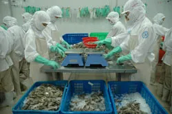 Việt Nam tăng trưởng bền vững