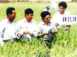 Khắc phục tình trạng sụt giảm năng suất
