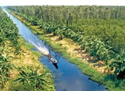 Nhà văn Đoàn Giỏi viết “Đất rừng phương Nam” nhanh như thế nào?