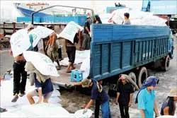 Tai họa phân bón thật, chất lượng… giả