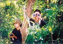 Ra mắt 2 bộ phim "Hàng xóm" và "Rặng trâm bầu" ảnh 2 Ra mắt 2 bộ phim "Hàng xóm" và "Rặng trâm bầu" ảnh 2