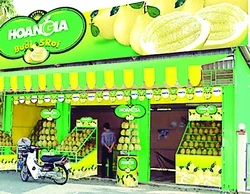 Khu công nghiệp “lấn” bưởi Năm Roi ảnh 2 Khu công nghiệp “lấn” bưởi Năm Roi ảnh 2