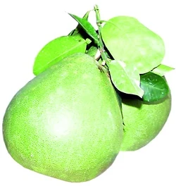 Khu công nghiệp “lấn” bưởi Năm Roi ảnh 3 Khu công nghiệp “lấn” bưởi Năm Roi ảnh 3