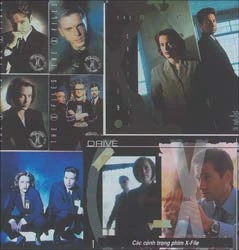 X-Files và Hồ sơ bồ nông