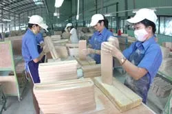 Chưa thể hiện đủ các hành vi cạnh tranh không lành mạnh