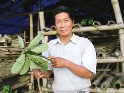 Người xây tháp Chàm ở thế kỷ XXI ảnh 2 Người xây tháp Chàm ở thế kỷ XXI ảnh 2
