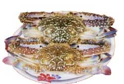 Loài thủy sản có giá trị thương phẩm cao