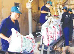 Chuẩn bị gần 1.000.000 tấn urea