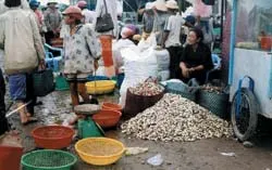 Chấn chỉnh kịp thời, đồng bộ