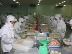 Thanh tra các cơ sở sản xuất thực phẩm phục vụ Tết
