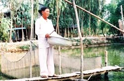 “Vua cá lóc” xứ Đồng Tháp ảnh 2 “Vua cá lóc” xứ Đồng Tháp ảnh 2