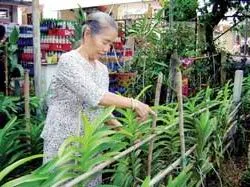 Chiến công của người ở lại...