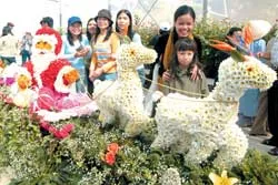 Sự kết tinh vẻ đẹp của thiên nhiên