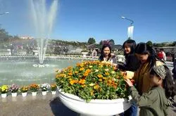 Sự kết tinh vẻ đẹp của thiên nhiên ảnh 2 Sự kết tinh vẻ đẹp của thiên nhiên ảnh 2