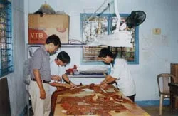 Cái vòng luẩn quẩn