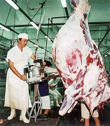 Mức thưởng hơn mọi năm