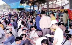 Những công nhân chưa biết ngày về Tết