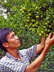 Từ 15.000 đồng trở thành tỉ phú!