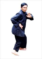 Hùng kê quyền